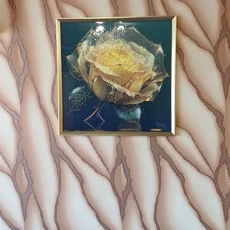 Art Ruja Varna